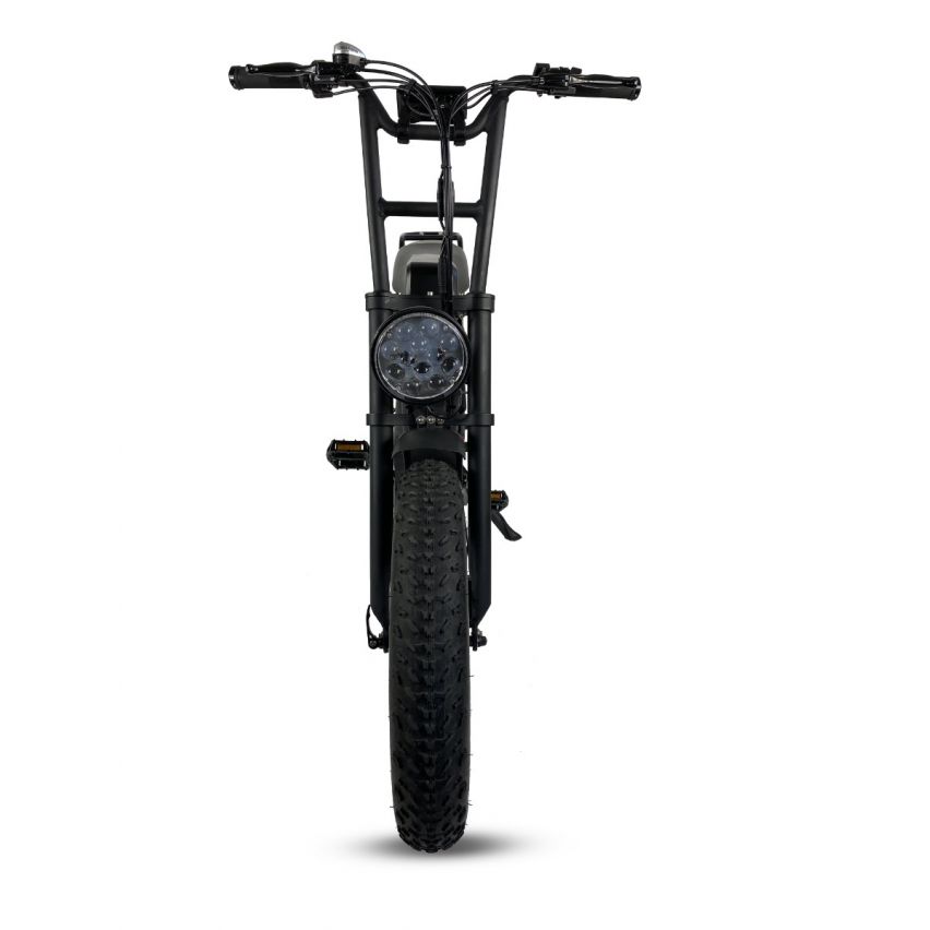 Cruz73 Retro - Electric Bike - 250W Black