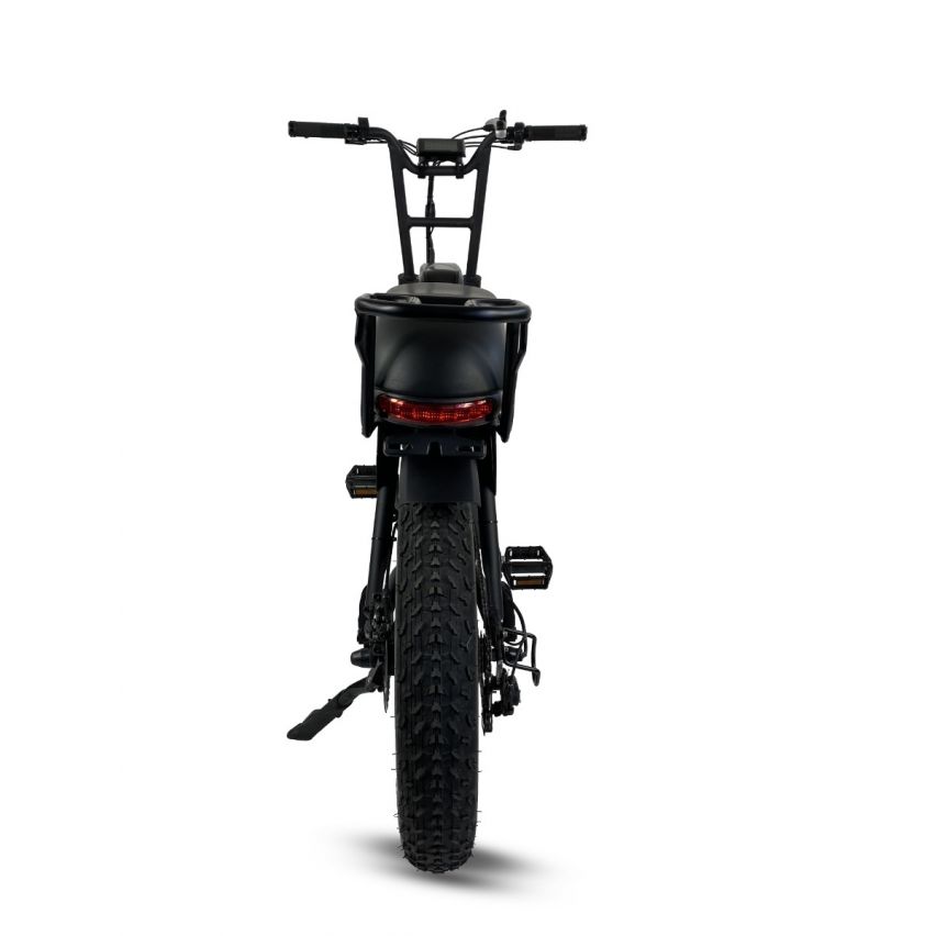 Cruz73 Retro - Electric Bike - 250W Black