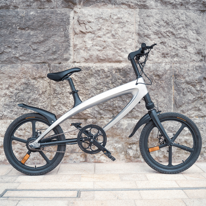 Cruzaa Electric Bike - Built in Speakers and Bluetooth - 240W