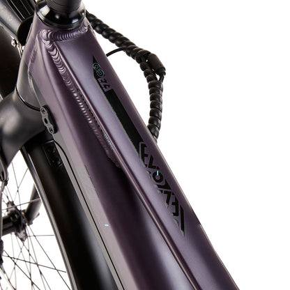 EZEGO Commute INT Unisex - Electric Bike - 250W Purple/ Black