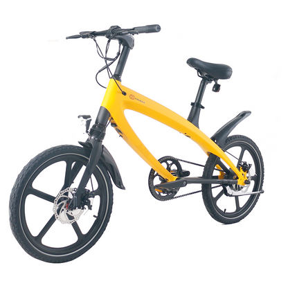 Cruzaa Electric Bike - Built in Speakers and Bluetooth - 240W